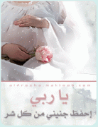    2005